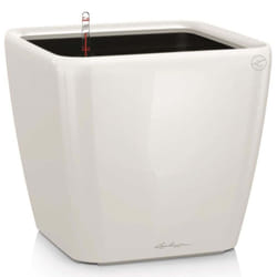 LECHUZA QUADRO LS 28 White High Gloss Poly Resin Table Self-watering Planter with Substrate H26 L28 W28 cm