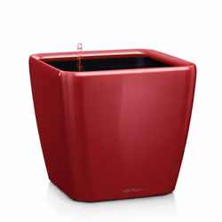 LECHUZA QUADRO LS 28 Scarlet Red High Gloss Poly Resin Table Self-watering Planter with Substrate H26 L28 W28 cm