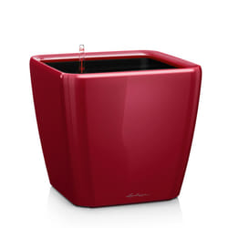 LECHUZA QUADRO LS 28 Scarlet Red High Gloss Poly Resin Table Self-watering Planter with Substrate H26 L28 W28 cm