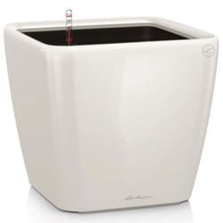 LECHUZA Planter Quadro 35 LS ALL-IN-ONE High-Gloss White Pot Raised Bed 16160