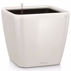 LECHUZA QUADRO LS 43 White High Gloss Poly Resin Floor Self-watering Planter with Substrate H40 L43 W43 cm
