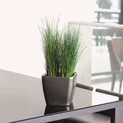 LECHUZA Planter Flower Pot Plant Pot QUADRO LS 43 ALL-IN-ONE Charcoal 16183 - Additional view 4