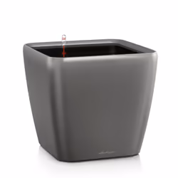 LECHUZA QUADRO LS 50, Pot planter, Freestanding, Plastic, Charcoal, Rectangle, Indoor