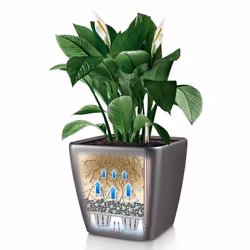 LECHUZA QUADRO LS 50 Indoor Pot planter Freestanding Plastic Charcoal - Additional view 7