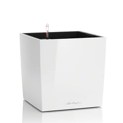 LECHUZA CUBE 40 Indoor Pot planter Freestanding Polypropylene (PP) White