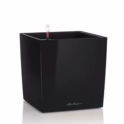 LECHUZA CUBE 40, Pot planter, Freestanding, Polypropylene (PP), Black, Indoor, Black