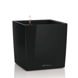 LECHUZA CUBE 40 Indoor Pot planter Freestanding Polypropylene (PP) Black