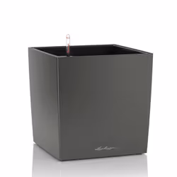 LECHUZA CUBE 30, Pot planter, Freestanding, Polypropylene (PP), Charcoal, Indoor, Black