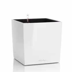 LECHUZA CUBE 50, Pot planter, Freestanding, Polypropylene (PP), White, Indoor, Black