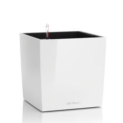 LECHUZA CUBE 50 Indoor Pot planter Freestanding Polypropylene (PP) White