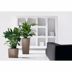 LECHUZA CUBE 50 Indoor Pot planter Freestanding Polypropylene (PP) White