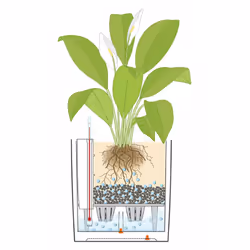 LECHUZA CUBE 50 Indoor Pot planter Freestanding Polypropylene (PP) White - Additional view 7