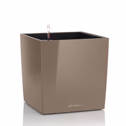 LECHUZA CUBE 50, Pot planter, Freestanding, Polypropylene (PP), Taupe, Indoor, Black