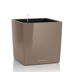 LECHUZA CUBE 50 Indoor Pot planter Freestanding Polypropylene (PP) Taupe