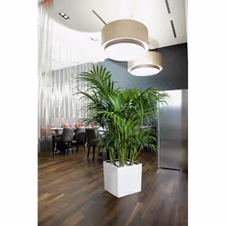 LECHUZA CUBE 50 Indoor Pot planter Freestanding Polypropylene (PP) Taupe - Additional view 4