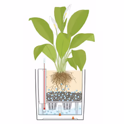 LECHUZA CUBE 50 Indoor Pot planter Freestanding Polypropylene (PP) Taupe - Additional view 7