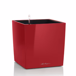 LECHUZA CUBE 50, Pot planter, Freestanding, Polypropylene (PP), Red, Indoor, Black