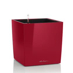 LECHUZA CUBE 50 Indoor Pot planter Freestanding Polypropylene (PP) Red