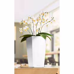 LECHUZA MAXI CUBI White High Gloss Poly Resin Table Self-watering Planter with Substrate H26 L14 W14 cm