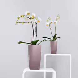LECHUZA MINI CUBI  and MAXI CUBI Table Poly Resin  Self-watering Planter with Substrate - Charcoal, H26 L14 W14 cm
