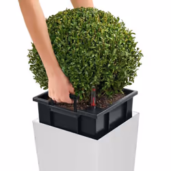 LECHUZA Planter Cubico 30 ALL-IN-ONE High-Gloss White Pot Raised Bed 18181 - Additional view 2