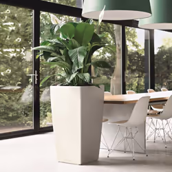 LECHUZA Planter Cubico 30 ALL-IN-ONE High-Gloss White Pot Raised Bed 18181 - Additional view 3