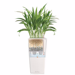 LECHUZA Planter Cubico 30 ALL-IN-ONE High-Gloss White Pot Raised Bed 18181 - Additional view 4
