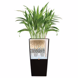 LECHUZA CUBICO 30 Charcoal Metallic Poly Resin Floor Self-watering Planter with Substrate H56 L30 W30 cm