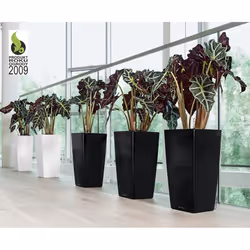 LECHUZA CUBICO 40 White High Gloss Poly Resin Floor Self-watering Planter with Substrate H75 L40 W40 cm