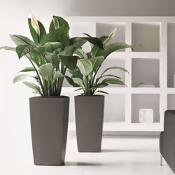 LECHUZA CUBICO 40 Charcoal Metallic Poly Resin Floor Self-watering Planter with Substrate H75 L40 W40 cm