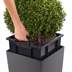 LECHUZA Cubico 22 Indoor Table planter Freestanding Polypropylene (PP) Silver