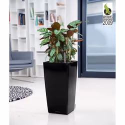 LECHUZA CUBICO 22 Black High Gloss Poly Resin Table Self-Watering Planter with Substrate H41 L22 W22 cm