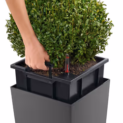 LECHUZA CUBICO Square Tall Poly Resin Self-watering Planter - Scarlet Red High Gloss, H41 L22 W22 cm