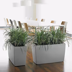 LECHUZA CARARO Trough Poly Resin Self-watering Planter - Silver, H43 L75 W30
