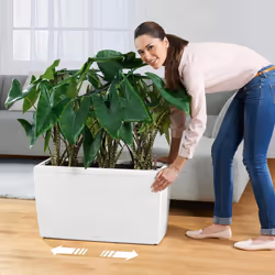 LECHUZA CARARO Trough Poly Resin Self-watering Planter - Silver, H43 L75 W30