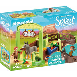 Playmobil 70120 toy playset