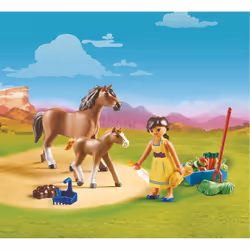 Playmobil 70122 toy playset