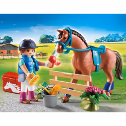 Playmobil Country 70294 building toy