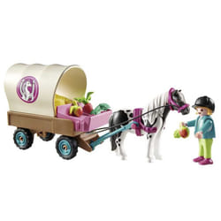 Playmobil Country 70998 toy playset