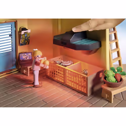 Playmobil Wiltopia 71007 toy playset