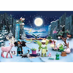 Playmobil Ayuma 71029 advent calendar