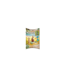 Playmobil Wiltopia 71069 children's toy figure