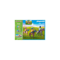 Playmobil Country 71239 building toy