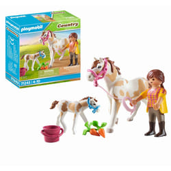 Playmobil Country 71243 children's toy figure