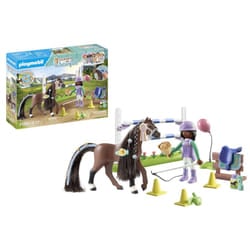 Playmobil 71355 toy playset