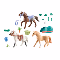 Playmobil 71356 toy playset