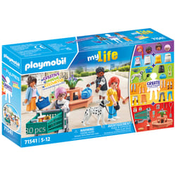 Playmobil 71541 toy playset