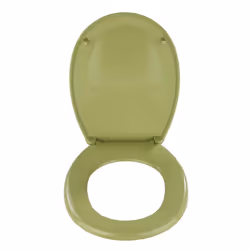 WENKO 19514100 Hard toilet seat Duroplast Green