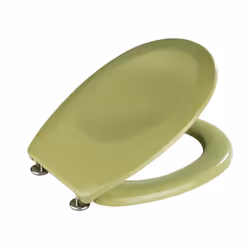 WENKO 19514100 Hard toilet seat Duroplast Green