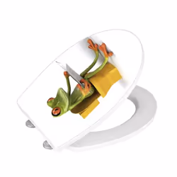 WENKO 21758100 toilet seat Hard toilet seat Acrylic, Duroplast Green, White, Yellow